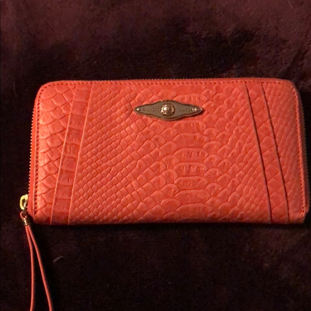 Elliott Luca wallet